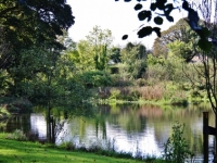 lake-lr